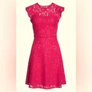 Eliza J LACE FIT & FLARE DRESS IN FUCHSIA